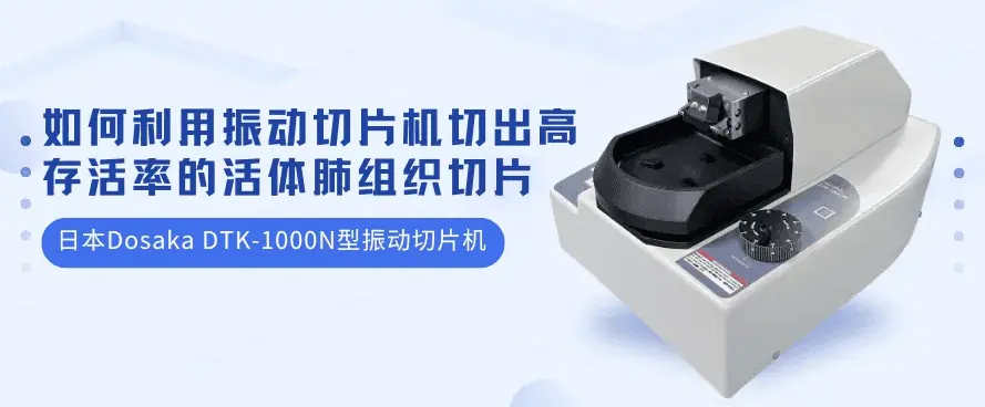如何利用振動切片機切出(chū)高存活率的(de)活體肺組織切片